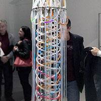 Color Erectus