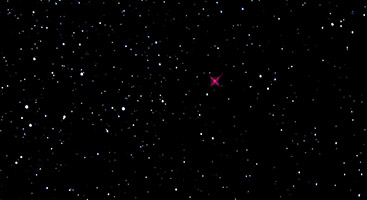 Human Star