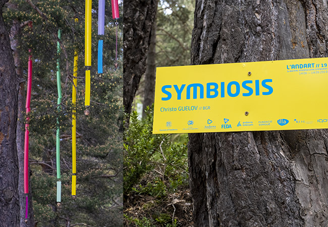Symbiosis